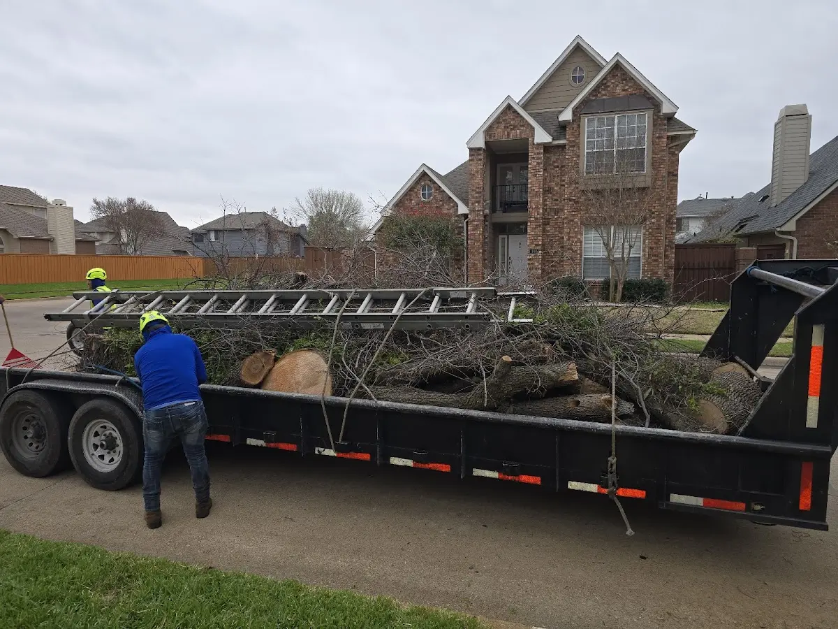 Expert Tree Removal with proper safety equipment in Bell Buckle